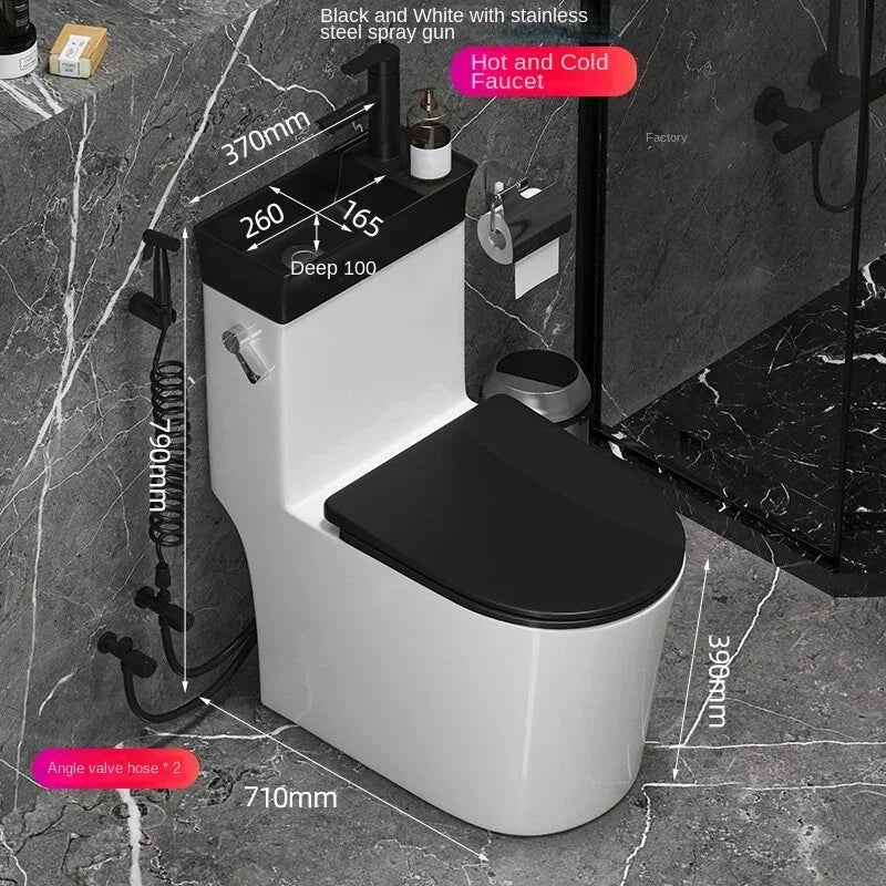 Integrated Toilet and Wash Basin Combo