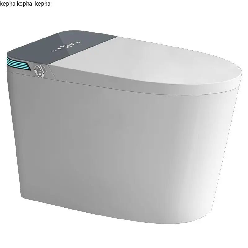 Floor-Mounted Smart Bidet Toilet