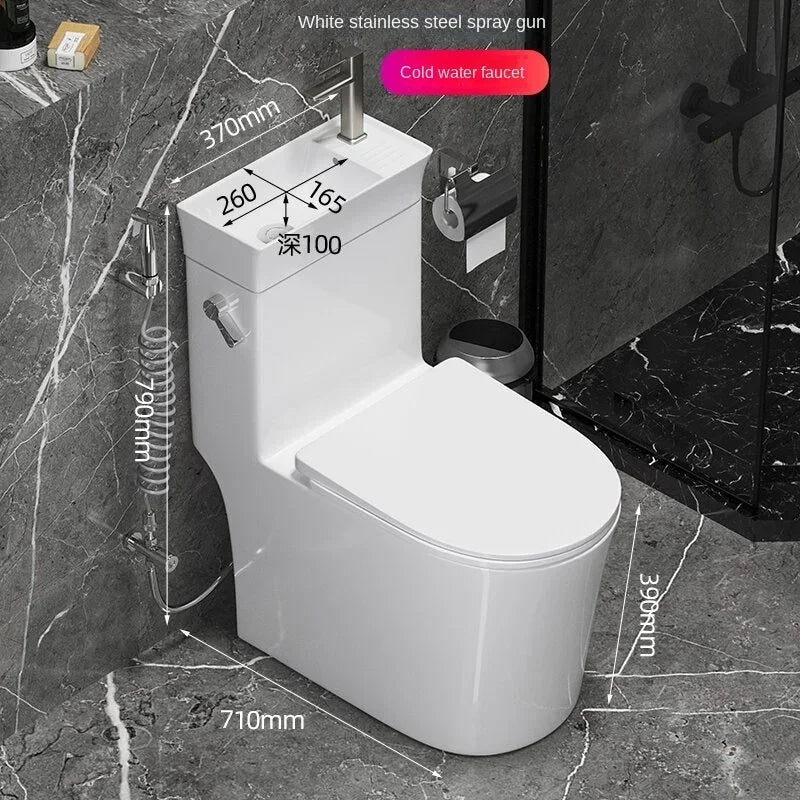 Integrated Toilet and Wash Basin Combo