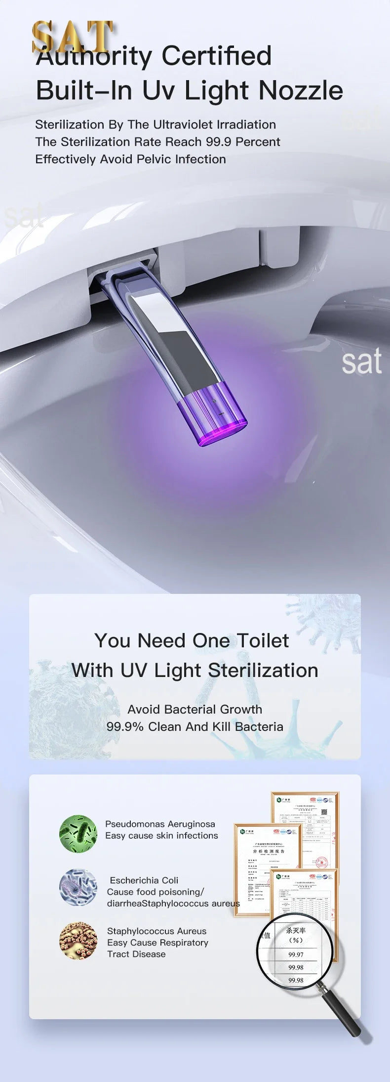 Wall-Mounted Intelligent Bidet Toilet with Concealed Tank