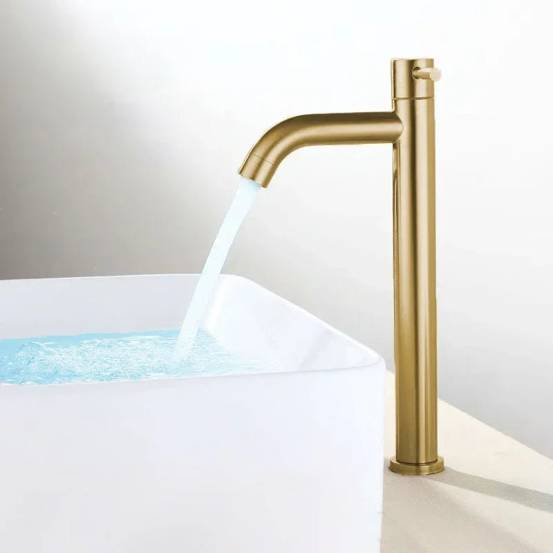 Black & Gold Stainless Steel Basin Faucet – Quick-Open Single Cold Tap