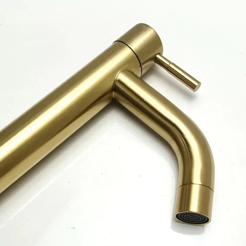 Black & Gold Stainless Steel Basin Faucet – Quick-Open Single Cold Tap